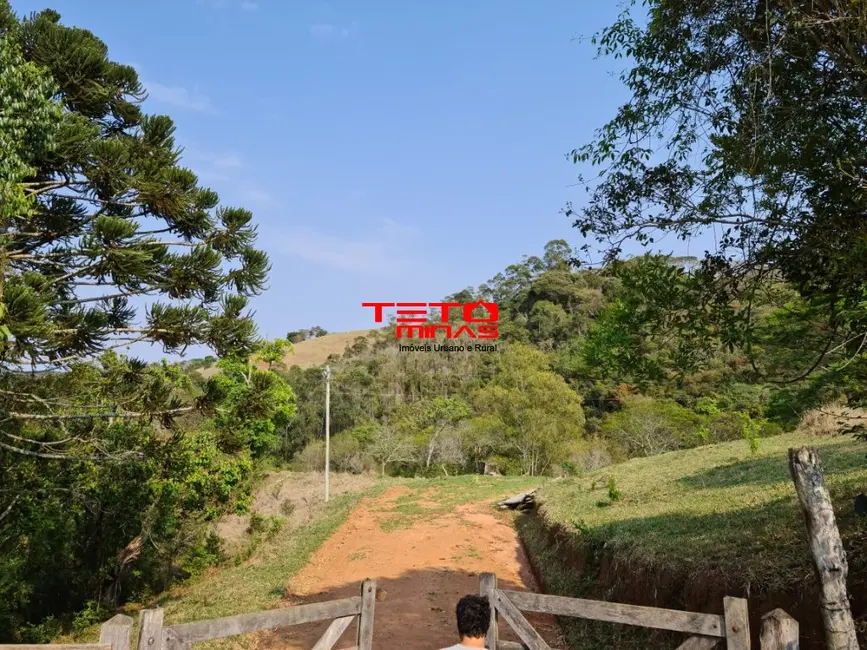 Foto 1 de Fazenda / Haras com 2 quartos à venda em Pouso Alto - MG
