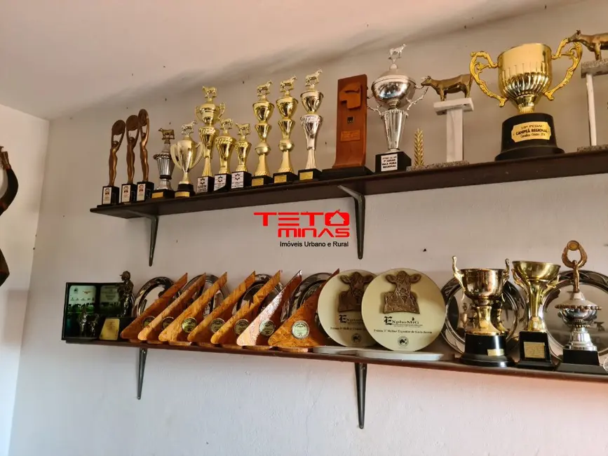 Foto 7 de Fazenda / Haras à venda em Itamonte - MG