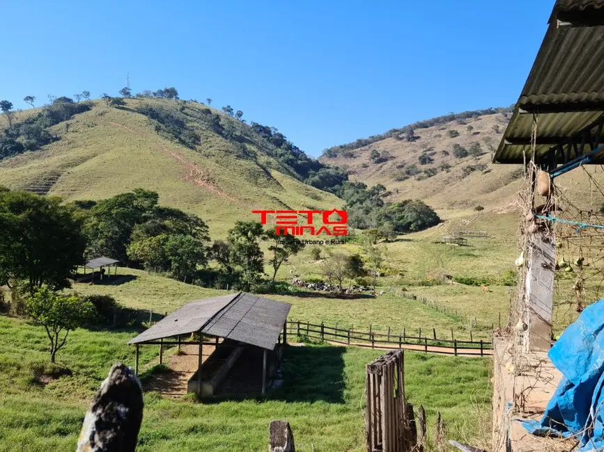 Foto 20 de Fazenda / Haras à venda em Itamonte - MG