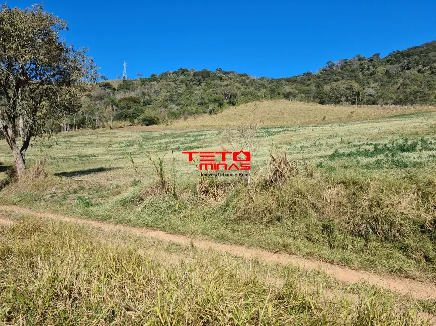 Foto 30 de Fazenda / Haras à venda em Itamonte - MG