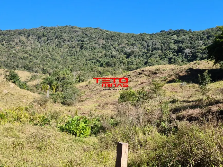 Foto 47 de Fazenda / Haras à venda em Itamonte - MG