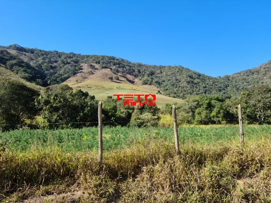 Foto 50 de Fazenda / Haras à venda em Itamonte - MG