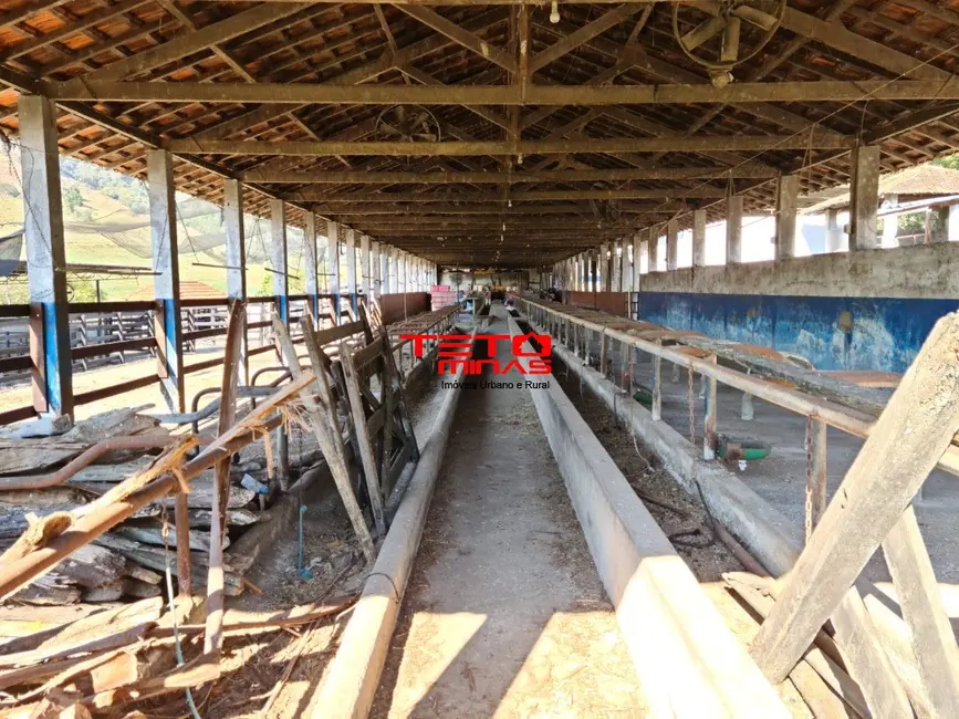 Foto 25 de Fazenda / Haras à venda em Itamonte - MG