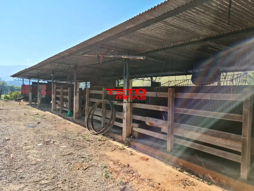Foto 19 de Fazenda / Haras à venda em Itamonte - MG