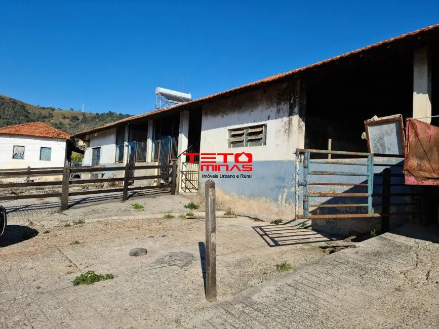 Foto 4 de Fazenda / Haras à venda em Itamonte - MG