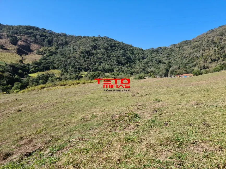 Foto 13 de Fazenda / Haras à venda em Itamonte - MG