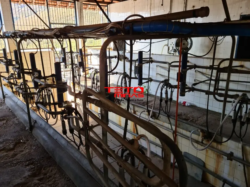 Foto 5 de Fazenda / Haras à venda em Itamonte - MG