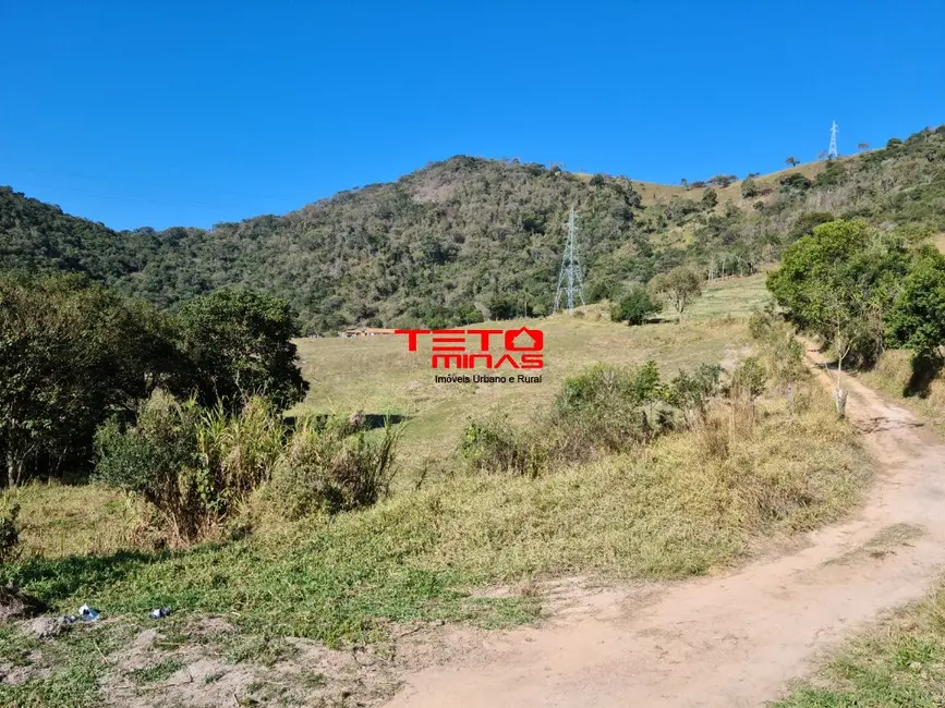 Foto 44 de Fazenda / Haras à venda em Itamonte - MG