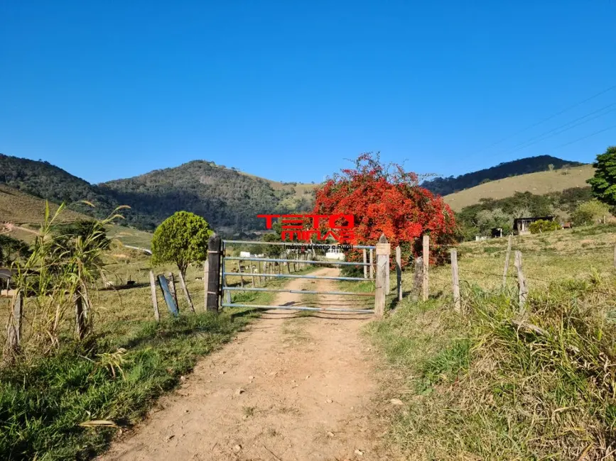 Foto 1 de Fazenda / Haras à venda em Itamonte - MG