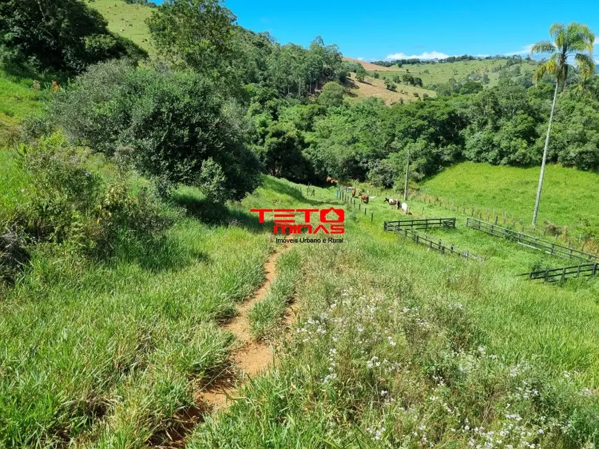 Sítio / Rancho à venda em Pouso Alto - MG - imagem 3 Foto 3 de Sítio / Rancho à venda em Pouso Alto - MG