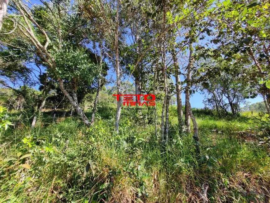 Foto 2 de Chácara à venda em Dom Vicoso - MG