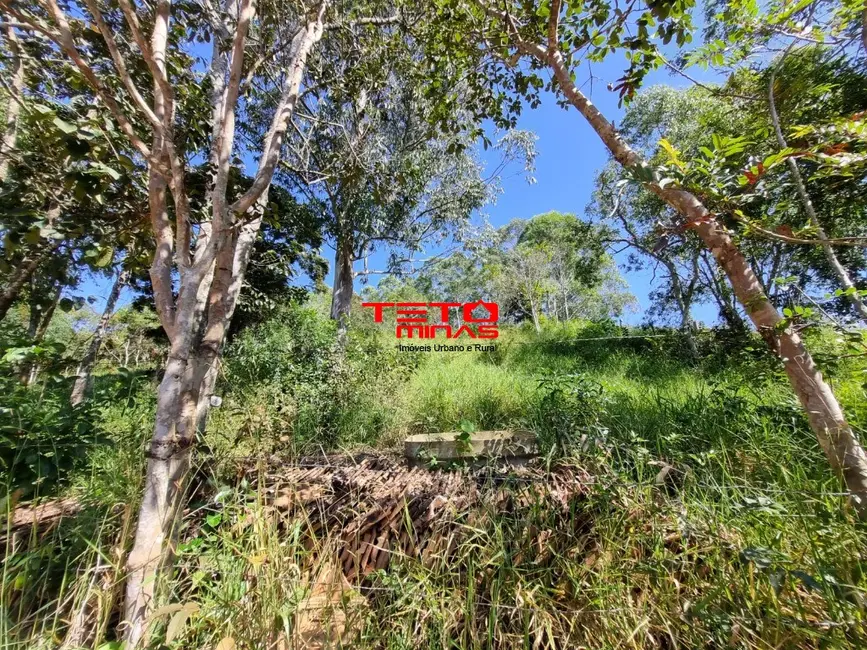 Foto 3 de Chácara à venda em Dom Vicoso - MG