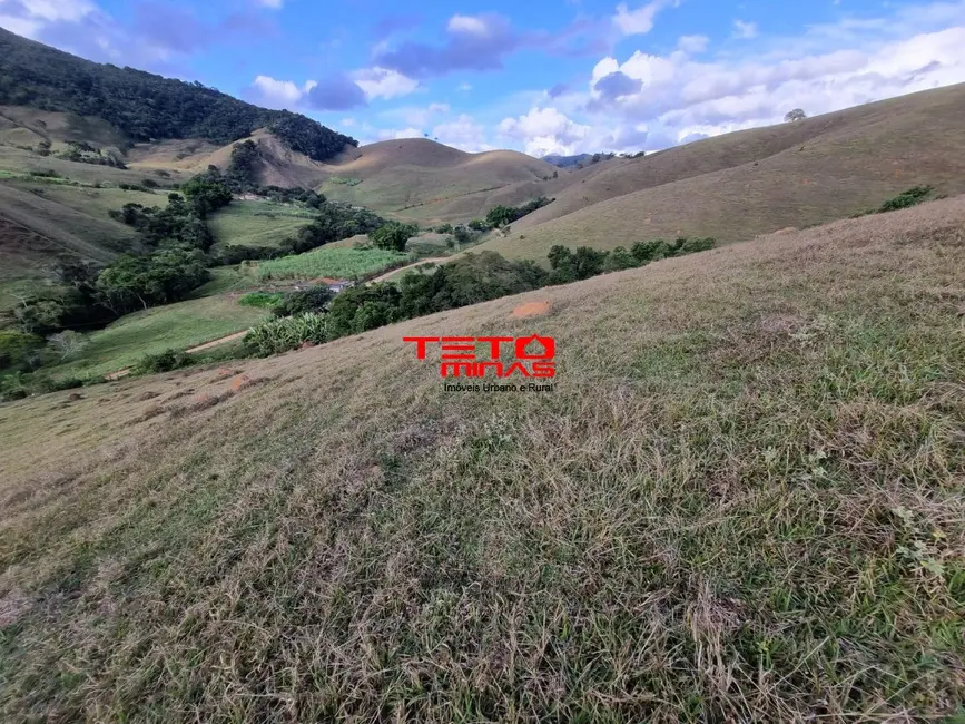 Foto 11 de Chácara à venda em Pouso Alto - MG