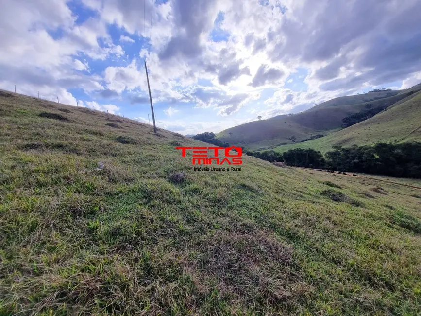 Chácara à venda em Pouso Alto - MG - imagem 9 Foto 9 de Chácara à venda em Pouso Alto - MG