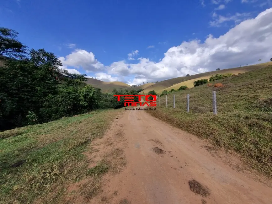 Chácara à venda em Pouso Alto - MG - imagem 5 Foto 5 de Chácara à venda em Pouso Alto - MG