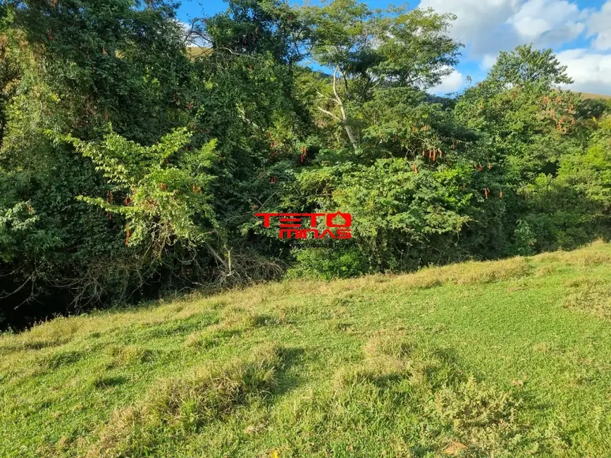 Foto 2 de Chácara à venda em Pouso Alto - MG