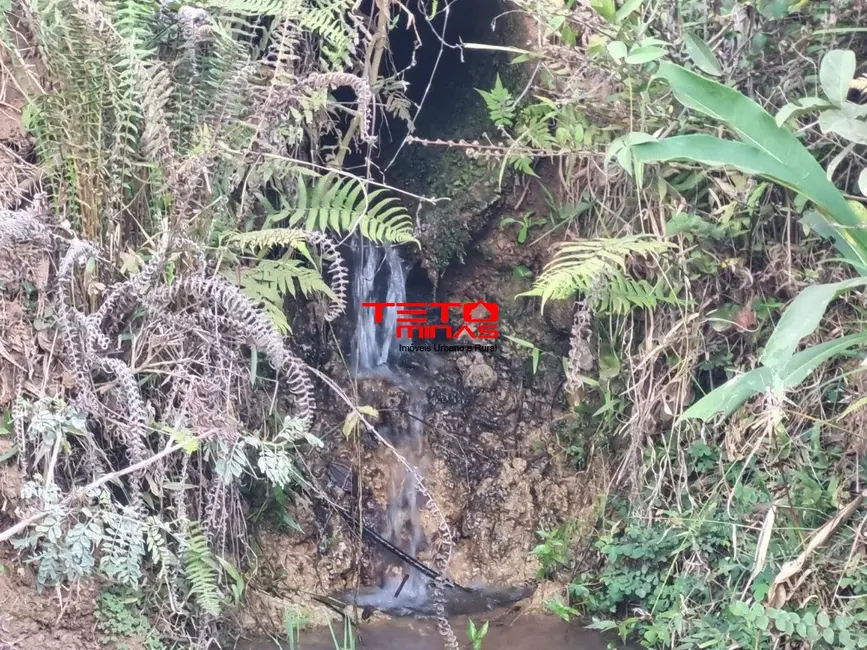 Foto 16 de Chácara à venda em Pouso Alto - MG