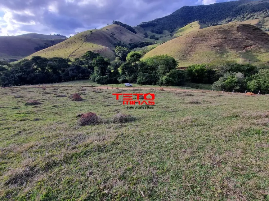 Chácara à venda em Pouso Alto - MG - imagem 7 Foto 7 de Chácara à venda em Pouso Alto - MG