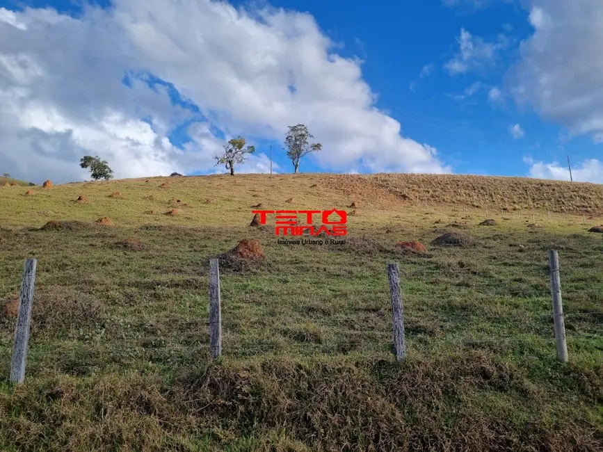 Chácara à venda em Pouso Alto - MG - imagem 4 Foto 4 de Chácara à venda em Pouso Alto - MG