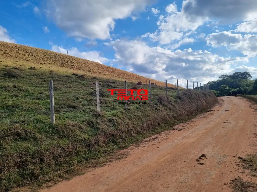 Chácara à venda em Pouso Alto - MG - imagem 3 Foto 3 de Chácara à venda em Pouso Alto - MG