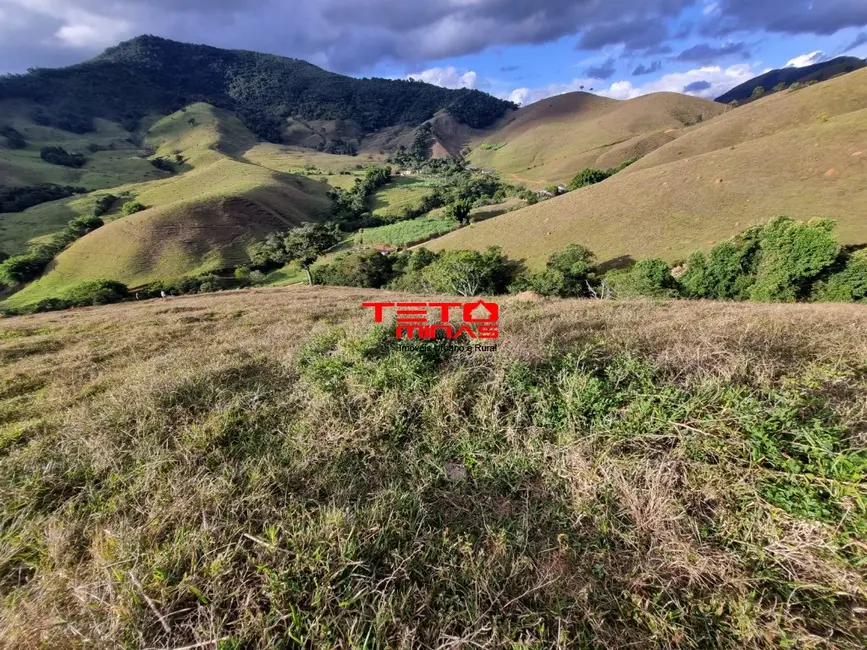 Foto 15 de Chácara à venda em Pouso Alto - MG