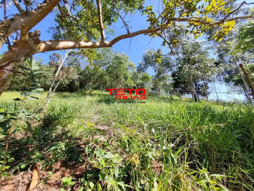 Foto 4 de Chácara à venda em Dom Vicoso - MG