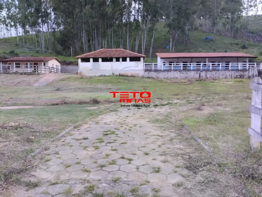 Sítio / Rancho à venda em Soledade De Minas - MG - imagem 7 Foto 7 de Sítio / Rancho à venda em Soledade De Minas - MG