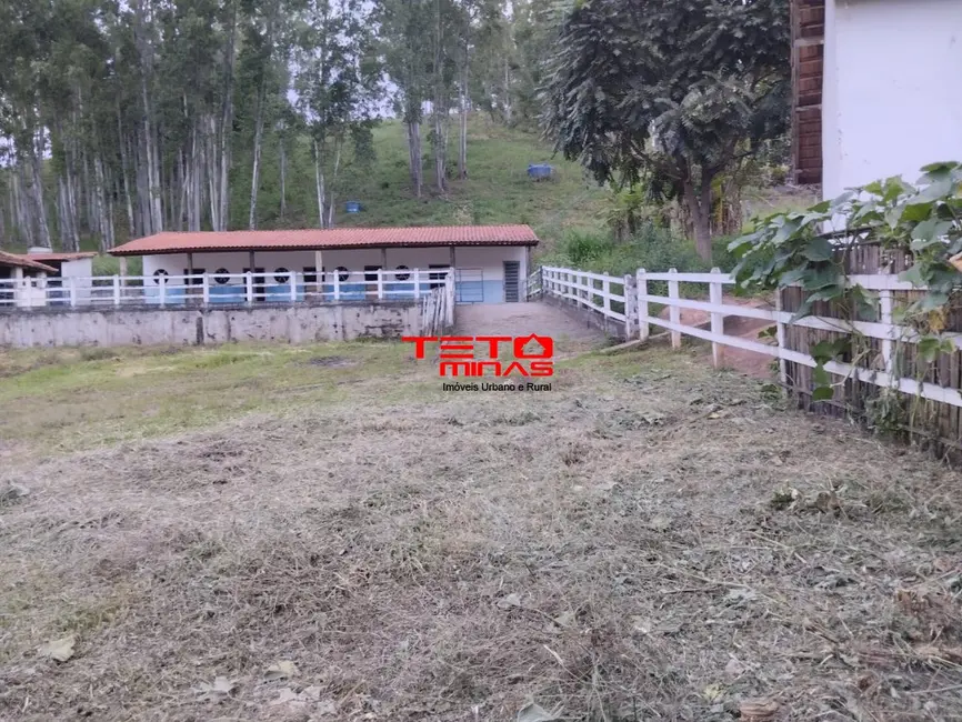 Sítio / Rancho à venda em Soledade De Minas - MG - imagem 4 Foto 4 de Sítio / Rancho à venda em Soledade De Minas - MG
