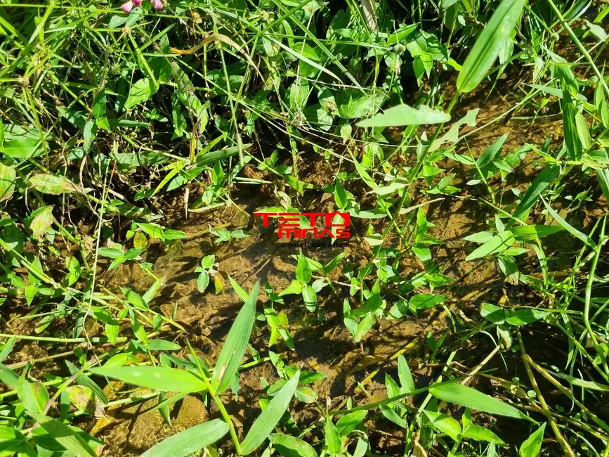 Terreno / Lote à venda, 11m2 em Sao Lourenco - MG - imagem 6 Foto 6 de Terreno / Lote à venda, 11m2 em Sao Lourenco - MG