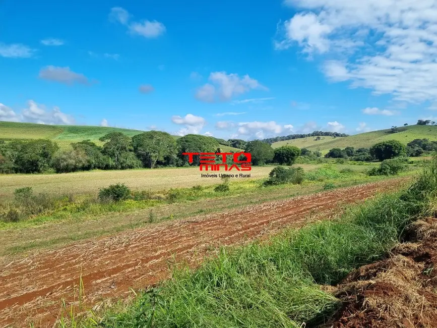 Sítio / Rancho à venda em Soledade De Minas - MG - imagem 8 Foto 8 de Sítio / Rancho à venda em Soledade De Minas - MG