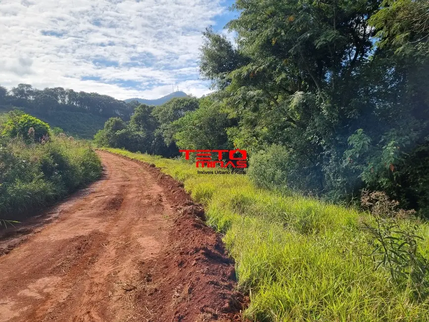 Chácara à venda em Soledade De Minas - MG - imagem 4 Foto 4 de Chácara à venda em Soledade De Minas - MG