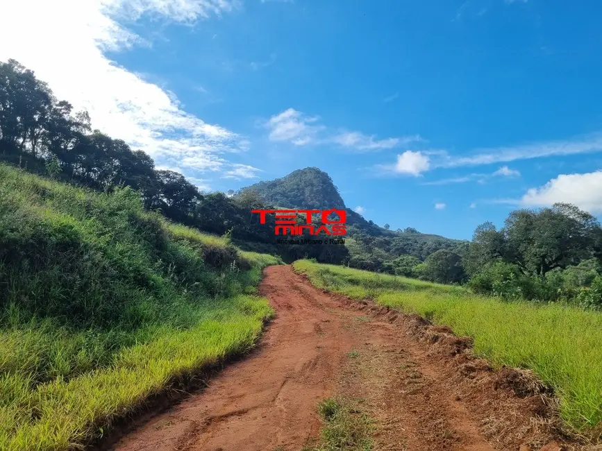 Chácara à venda em Soledade De Minas - MG - imagem 3 Foto 3 de Chácara à venda em Soledade De Minas - MG