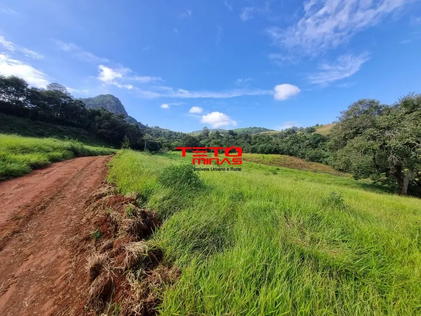 Chácara à venda em Soledade De Minas - MG - imagem 3 Foto 3 de Chácara à venda em Soledade De Minas - MG