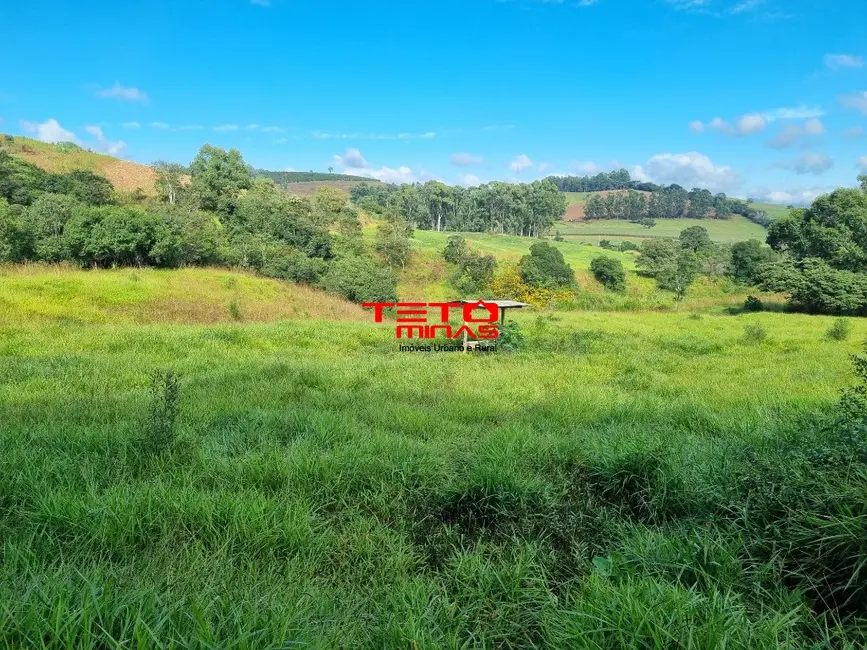 Chácara à venda em Soledade De Minas - MG - imagem 5 Foto 5 de Chácara à venda em Soledade De Minas - MG