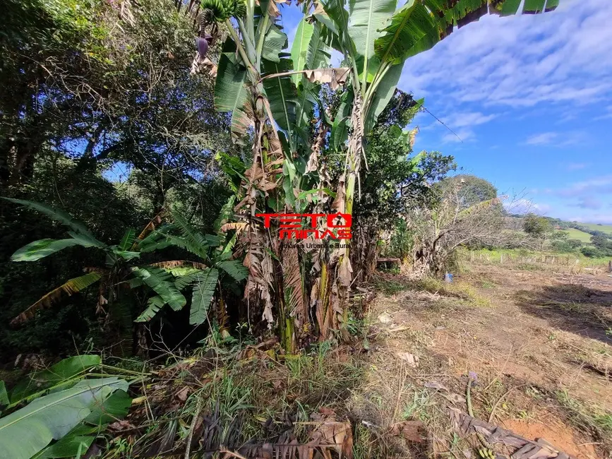 Chácara à venda em Soledade De Minas - MG - imagem 5 Foto 5 de Chácara à venda em Soledade De Minas - MG