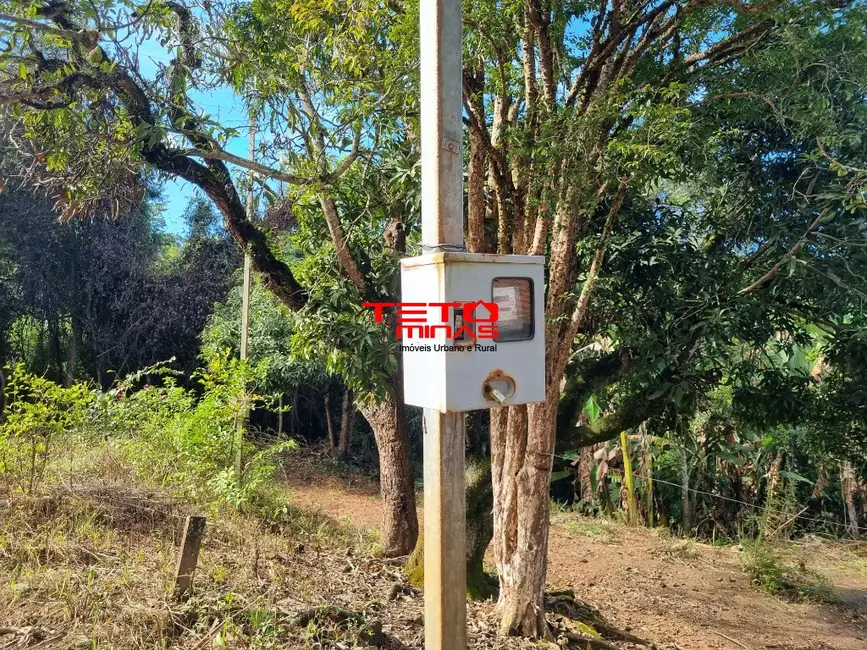 Chácara à venda em Soledade De Minas - MG - imagem 8 Foto 8 de Chácara à venda em Soledade De Minas - MG