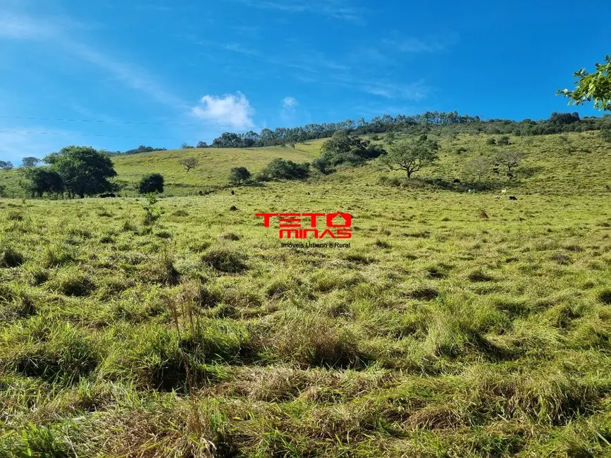 Sítio / Rancho à venda em Soledade De Minas - MG - imagem 8 Foto 8 de Sítio / Rancho à venda em Soledade De Minas - MG