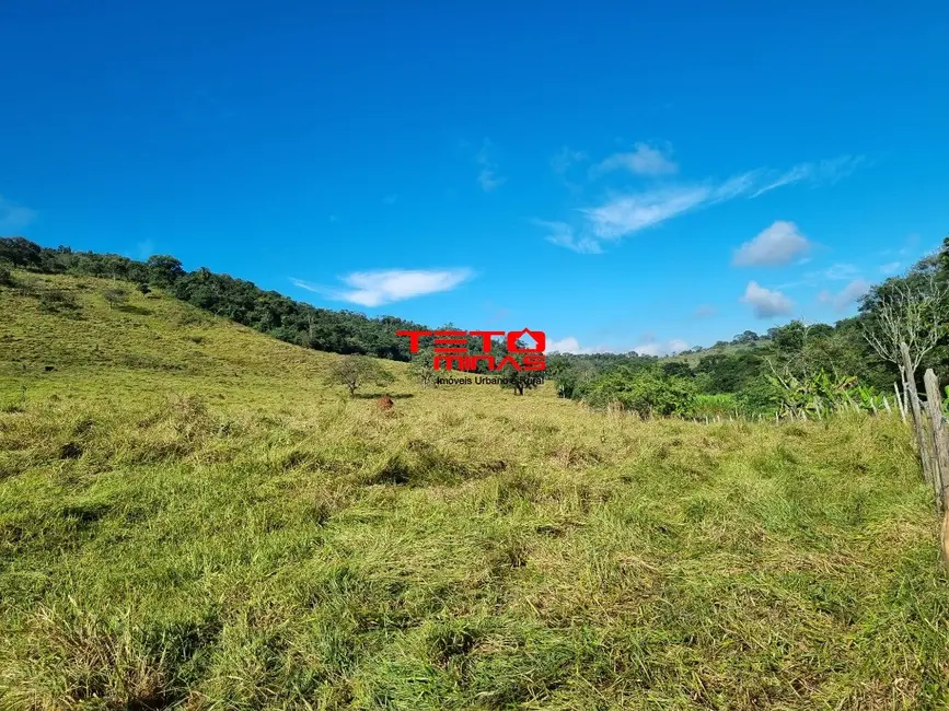 Sítio / Rancho à venda em Soledade De Minas - MG - imagem 9 Foto 9 de Sítio / Rancho à venda em Soledade De Minas - MG
