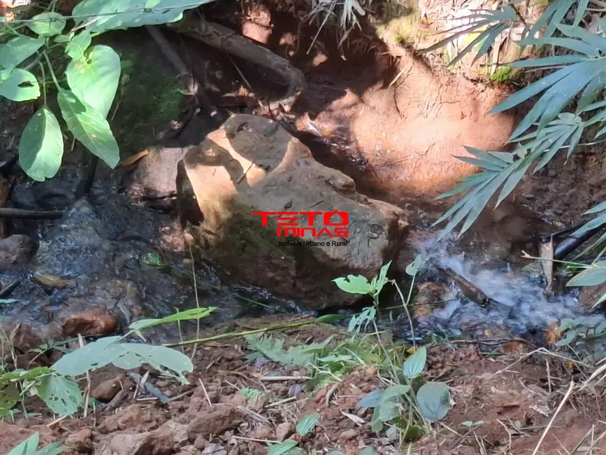 Foto 7 de Chácara à venda em Dom Vicoso - MG