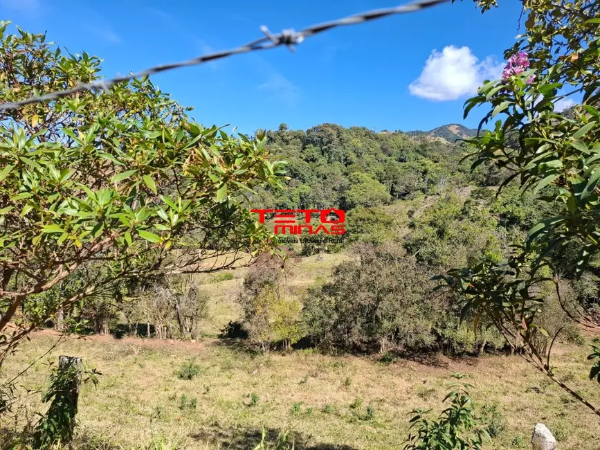 Foto 3 de Chácara à venda em Dom Vicoso - MG