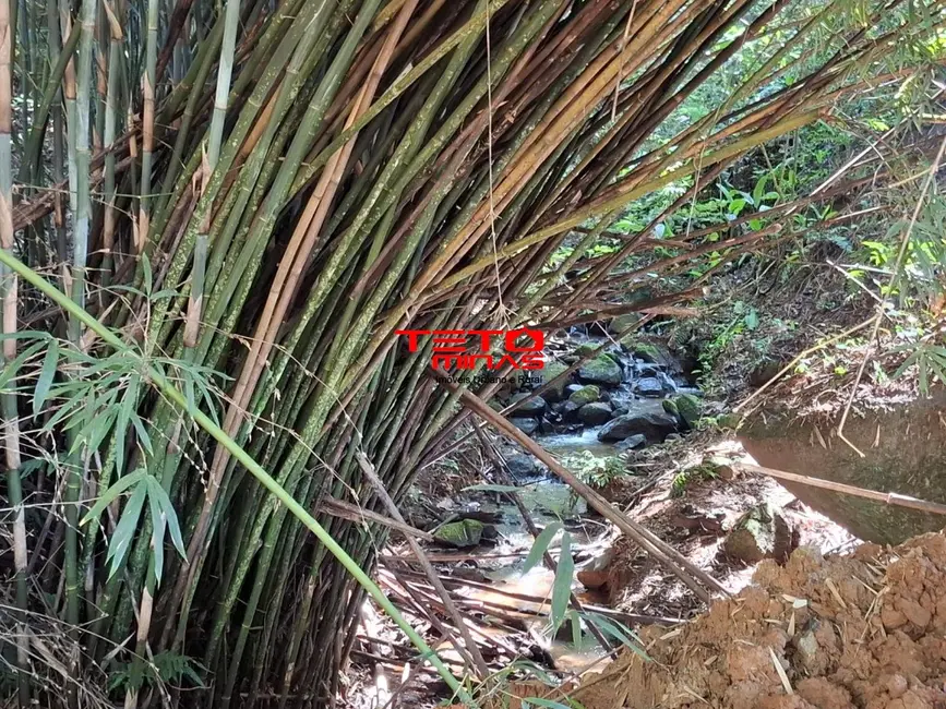 Foto 8 de Chácara à venda em Dom Vicoso - MG