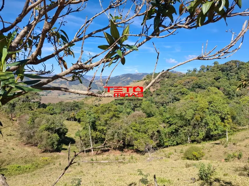 Foto 6 de Chácara à venda em Dom Vicoso - MG