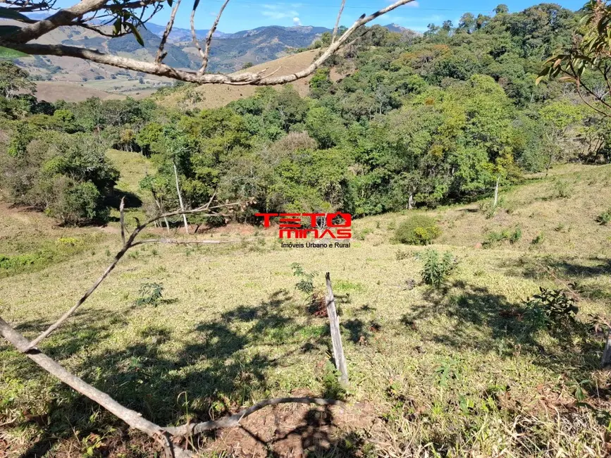 Foto 5 de Chácara à venda em Dom Vicoso - MG