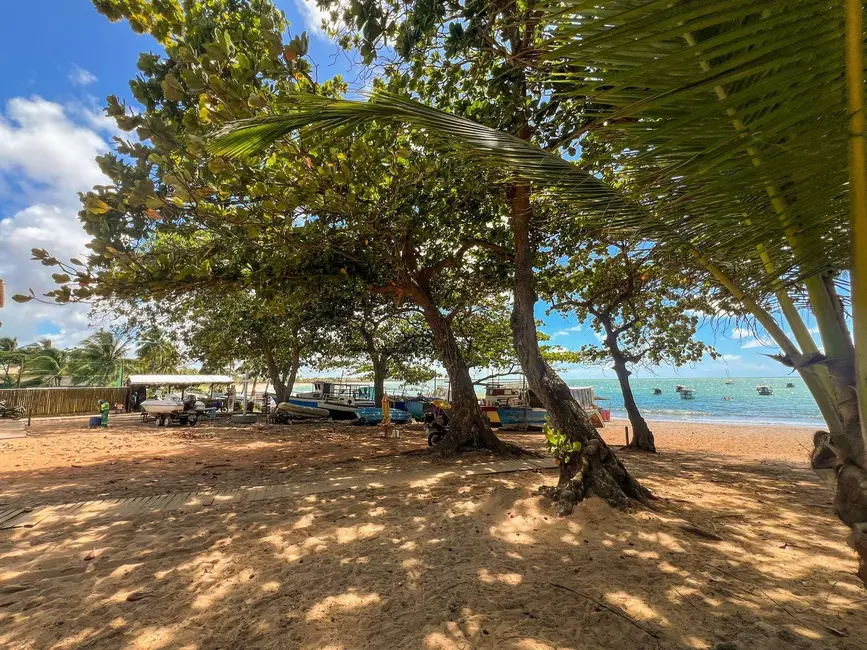 Terreno / Lote à venda, 2500m2 em Camacari - BA - imagem 3 Foto 3 de Terreno / Lote à venda, 2500m2 em Camacari - BA