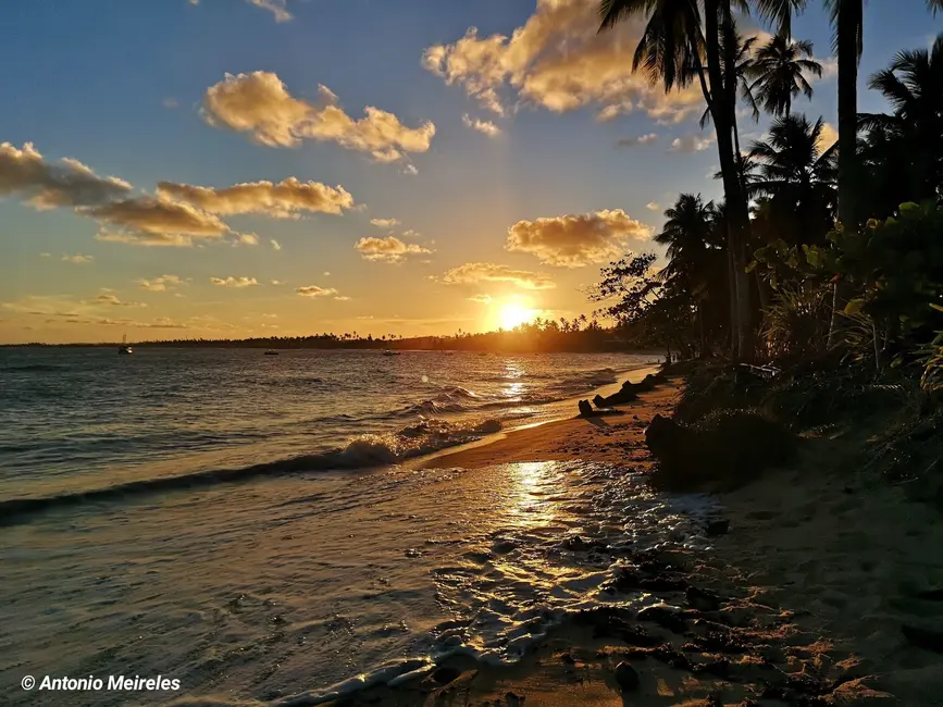 Foto 2 de Terreno / Lote à venda, 630m2 em Mata De Sao Joao - BA
