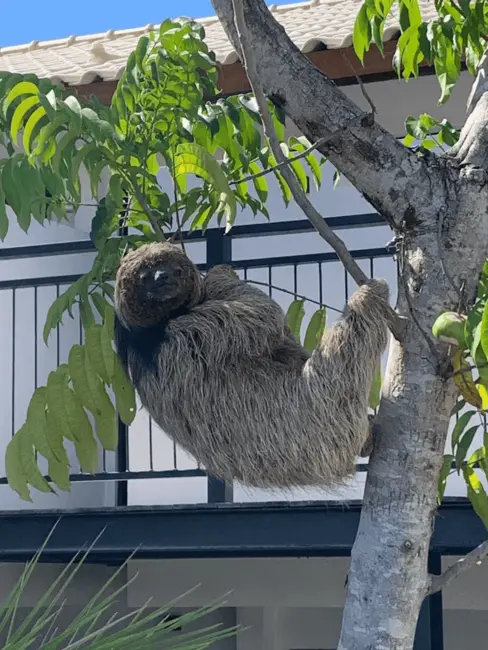 Foto 7 de Apartamento com 1 quarto à venda, 42m2 em Mata De Sao Joao - BA