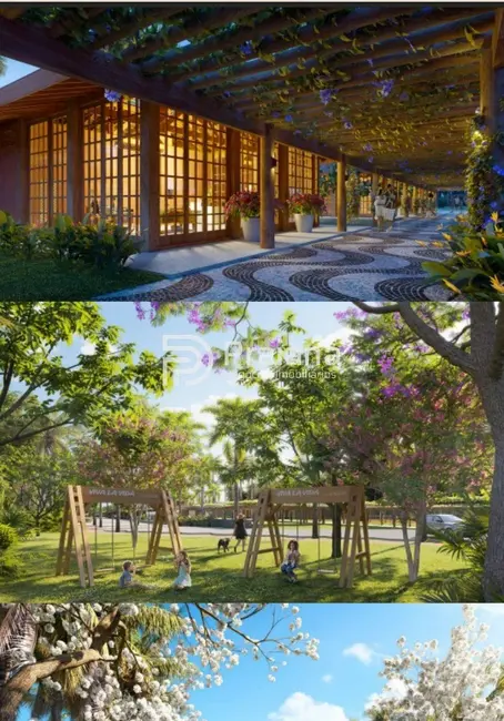 Terreno / Lote à venda, 800m2 em Mata De Sao Joao - BA - imagem 8 Foto 8 de Terreno / Lote à venda, 800m2 em Mata De Sao Joao - BA