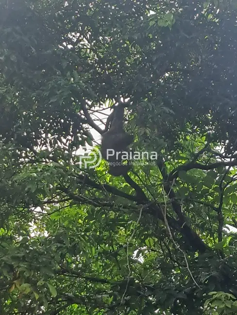Foto 4 de Terreno / Lote à venda, 5015m2 em Mata De Sao Joao - BA