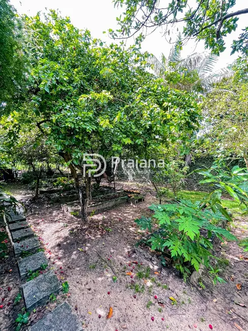 Casa com 4 quartos à venda, 2000m2 em Camacari - BA - imagem 8 Foto 8 de Casa com 4 quartos à venda, 2000m2 em Camacari - BA