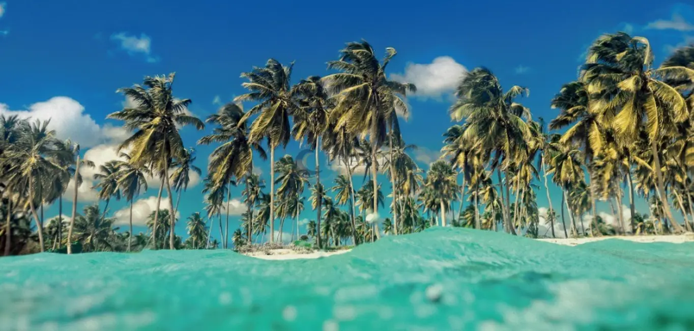 Foto 3 de Terreno / Lote à venda, 918m2 em Mata De Sao Joao - BA